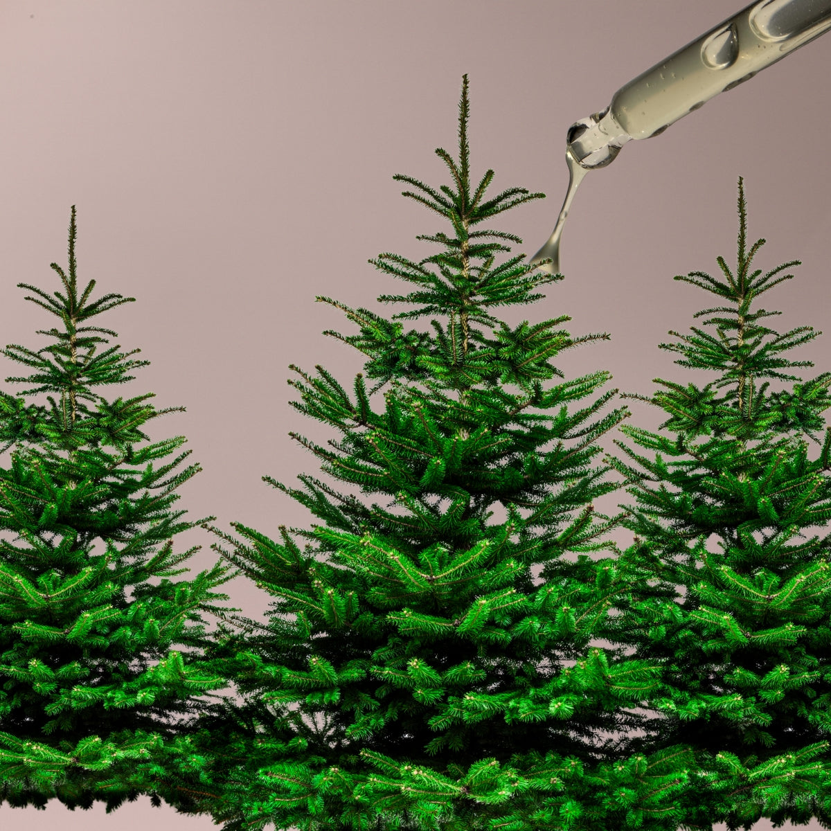 Premium SandWax Kaarsenzand - Kerst Gift Set