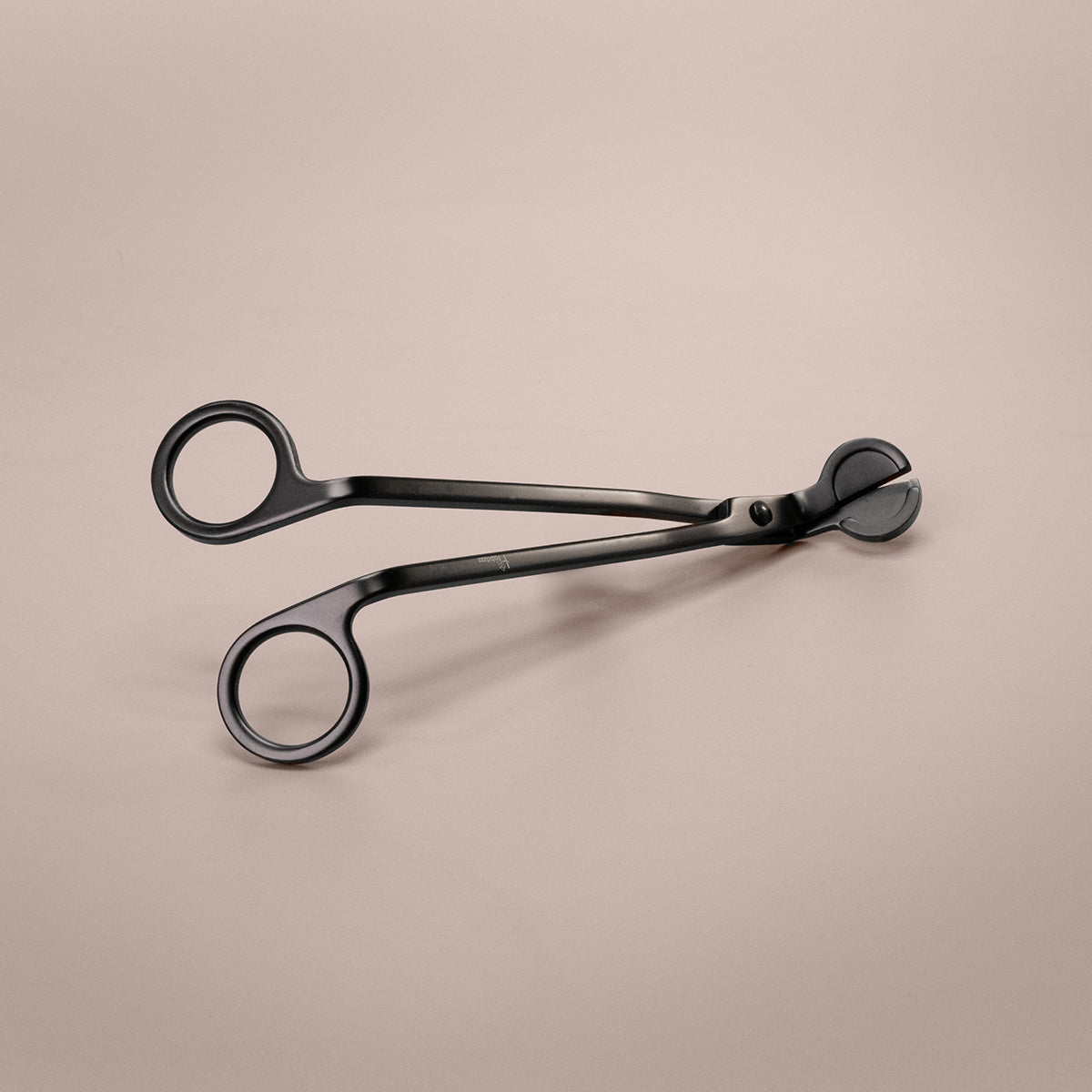 Lonten Knipper