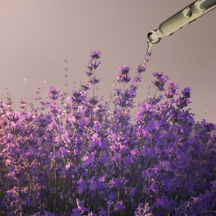 Mood Drops - Soothing Lavender